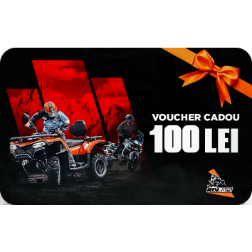 Voucher 100 LEI